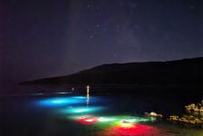 sv_marina_2026 7